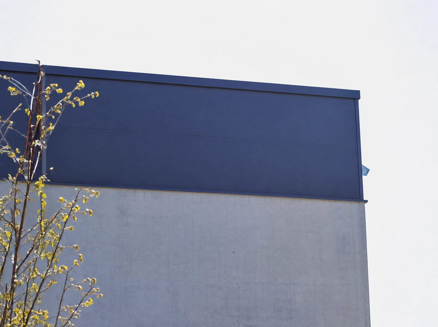 Before Image Alt Text